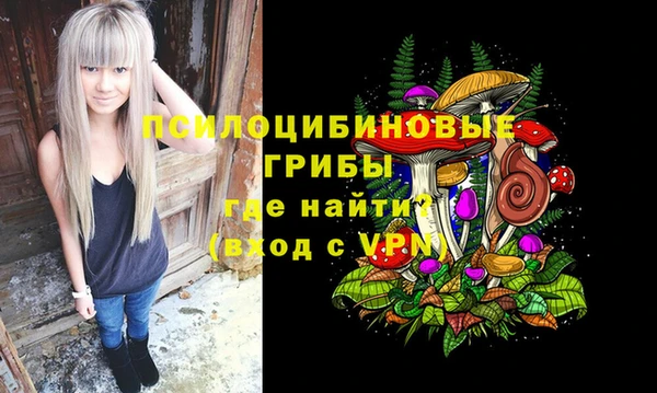ALPHA PVP Надым