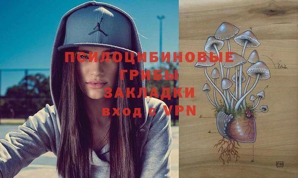 ALPHA PVP Надым