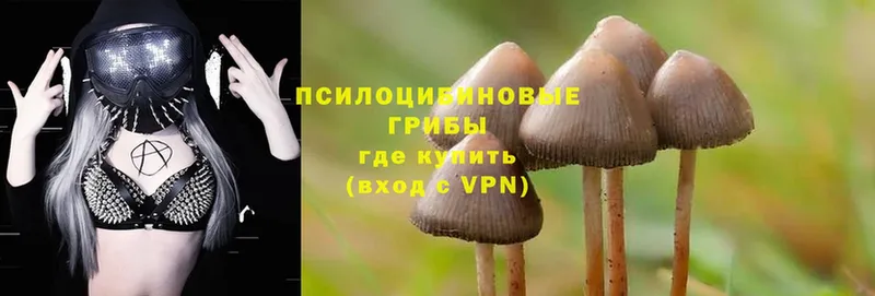 Галлюциногенные грибы MAGIC MUSHROOMS  мега сайт  Коммунар 