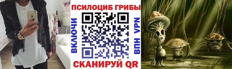 Псилоцибиновые грибы MAGIC MUSHROOMS  купить наркотики сайты  Коммунар 