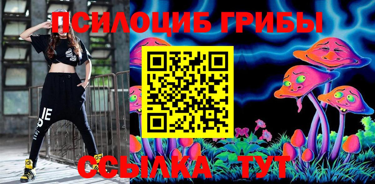 Галлюциногенные грибы Psilocybine cubensis  Коммунар 