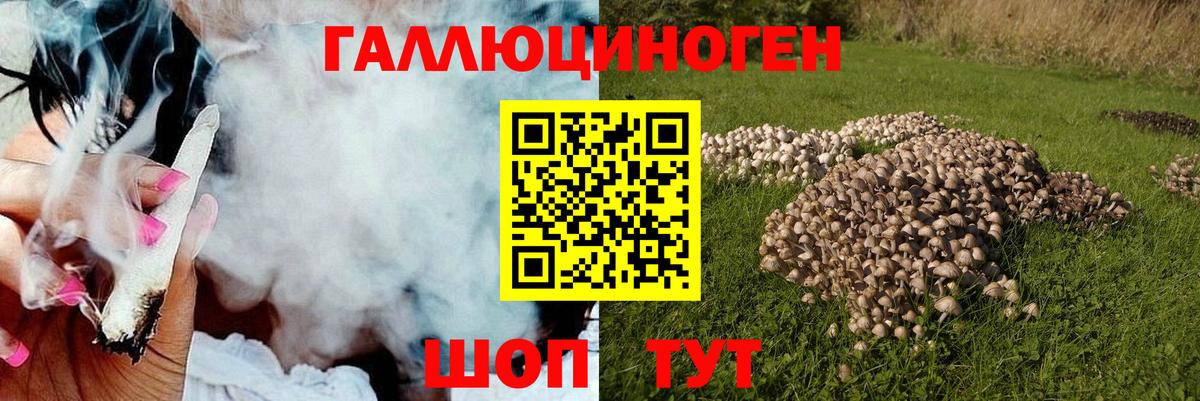Галлюциногенные грибы прущие грибы Коммунар
