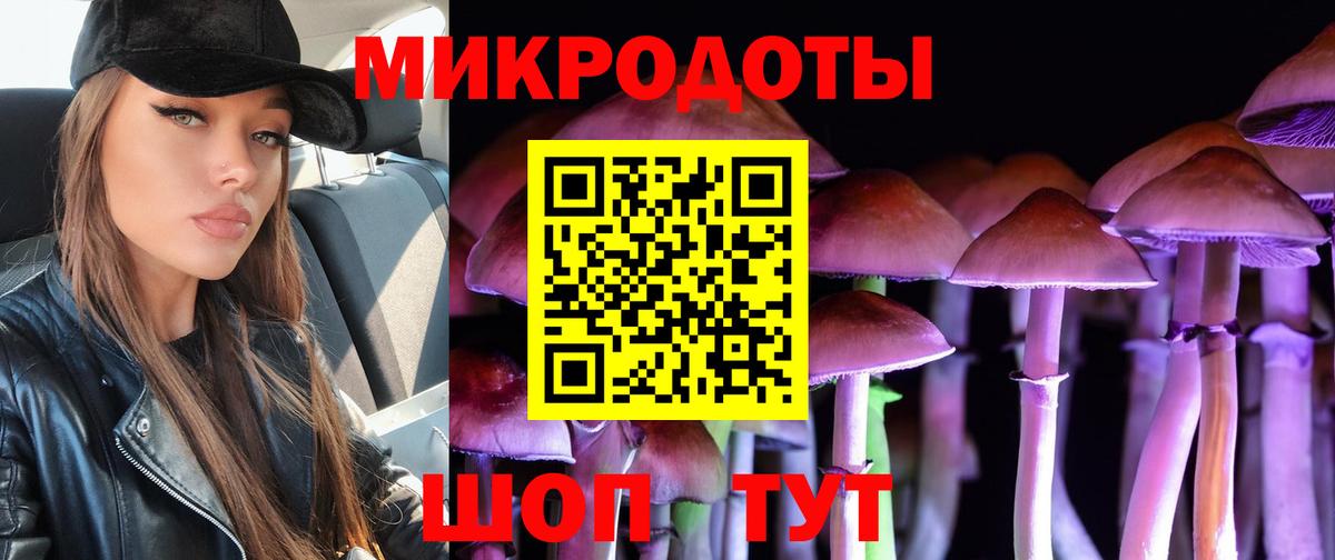 Галлюциногенные грибы Psilocybe Коммунар