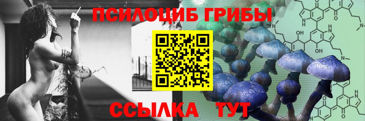 Галлюциногенные грибы Psilocybine cubensis  Вход с VPN  Коммунар 