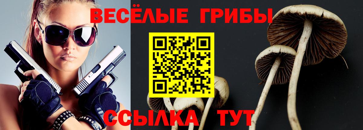 Альфа ПВП Коммунар